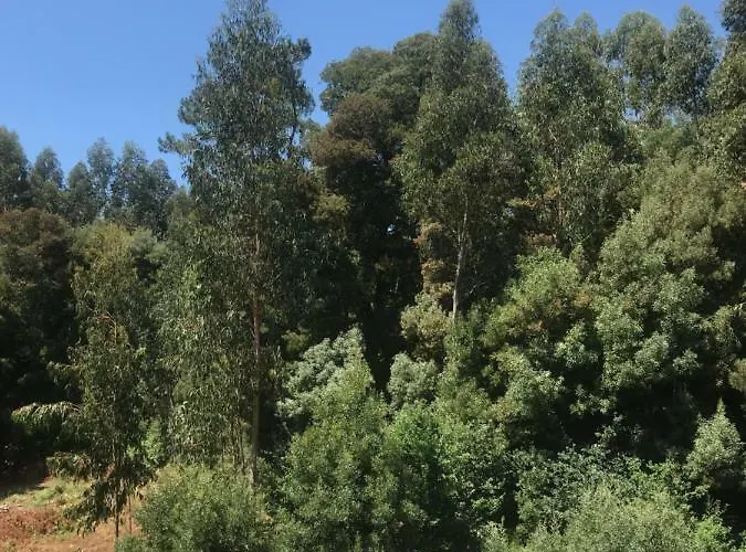 Appartement Trebol Sanxenxo